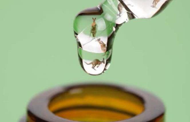 Kto chce pogrążyć homeopatię?
