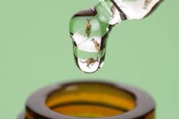 Sąd kapturowy nad homeopatią