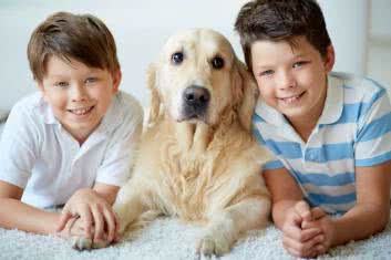 Do serca przytul psa, weź na kolana kota...