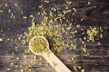 Majeranek ogrodowy (Origanum majorana)