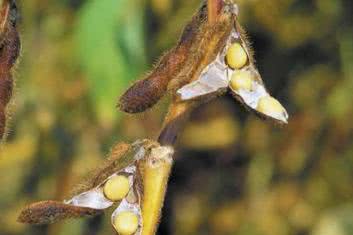 Zaburzeniami hormonalnymi