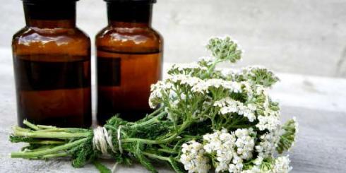 Krwawnik - sprzymierzeniec kobiet