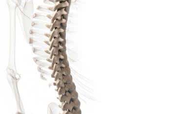 Chiropraktyka i zintegrowany system opieki zdrowotnej