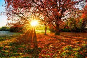 Witamina D3 w doborowym towarzystwie