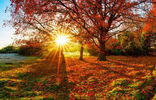 Co ułatwia wchłanianie witaminy D?