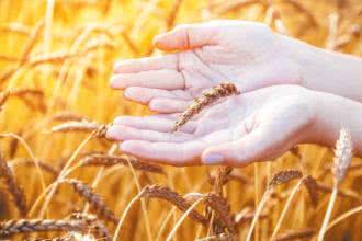 Julia Cember-Ogorzałek