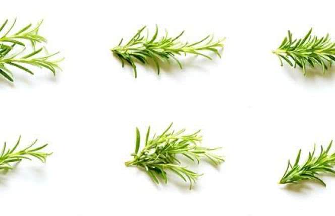 Na lepszą pamięć - rozmaryn