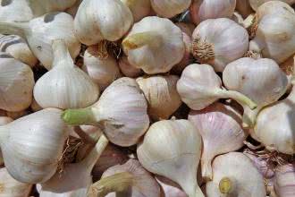 Redakcja Oczymlekarze.pl