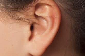 Naukowcy wyhodowali uszy dla dzieci