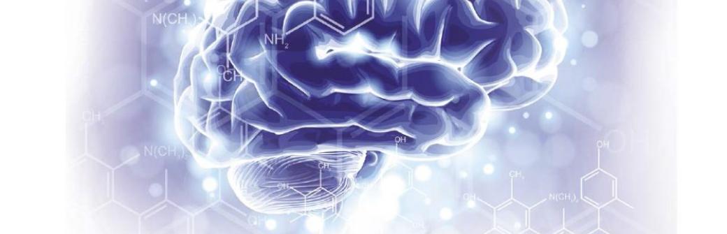 Mózg i układ nerwowy