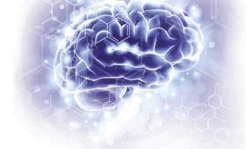 Mózg i układ nerwowy