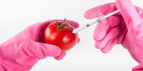 Genetycznie modyfikowane organizmy (GMO): czy jest się czego bać?
