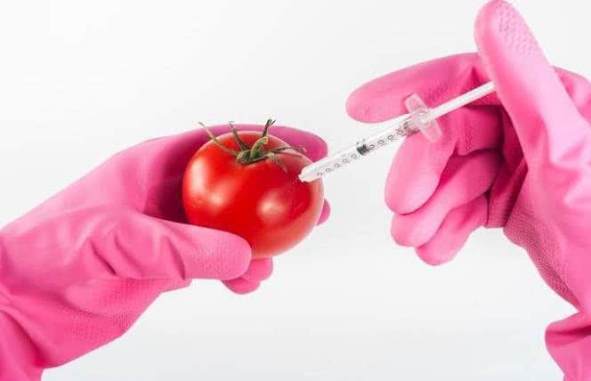 Genetycznie modyfikowane organizmy (GMO): czy jest się czego bać?
