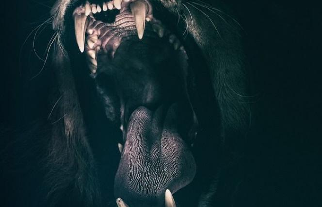 Kortyzol. Nadmiar i brak tak samo szkodliwe