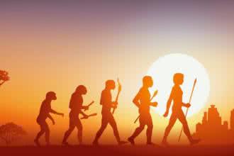 Kamila Makowska-Serkis