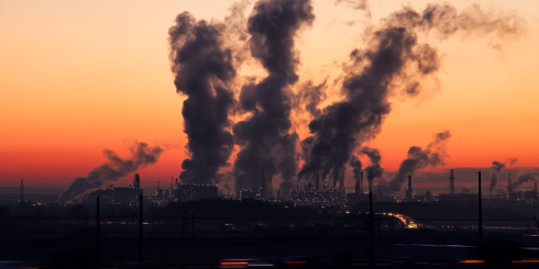 Jak zanieczyszczenie powietrza wpływa na inteligencję?