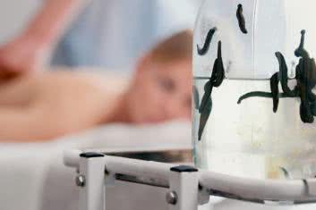 Najmniejszy lekarz świata