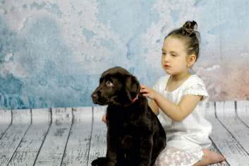 Stopić neurolodowiec