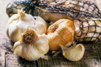 Czosnek kontra erytromycyna na zatrucia pokarmowe