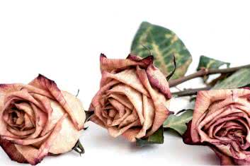 Ciało po nieszczęśliwym rozstaniu