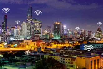 Julia Cember-Ogorzałek