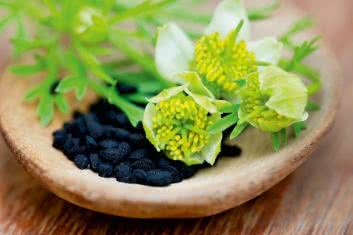 Gdy coś leży na wątrobie