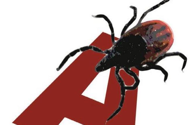 Ulubiona grupa krwi kleszczy