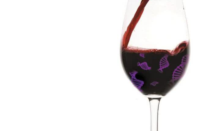 Wino lekarstwem na choroby metaboliczne?