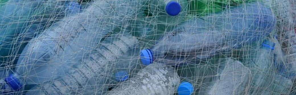 Cząsteczki plastiku przenikają do układu pokarmowego