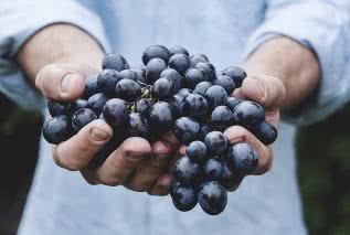 Żywność organiczna chroni przed rakiem