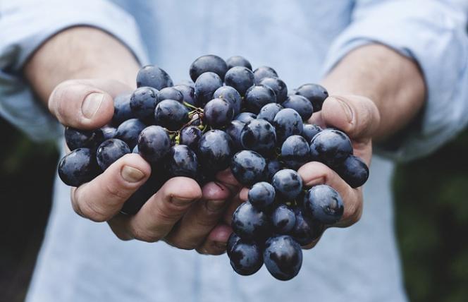 Żywność organiczna chroni przed rakiem