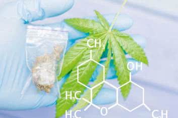 Układ endokannabinoidowy