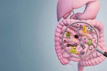 Mikroflora jelitowa - klucz do zdrowia czy... choroby?