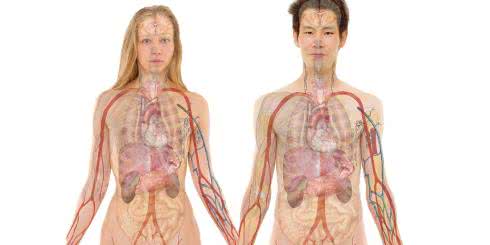 Jak poprawić przepływ limfy?