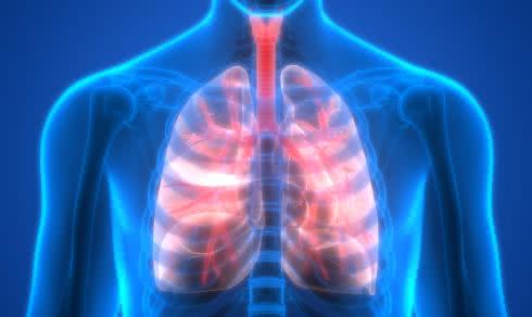 Płuca i choroby płuc