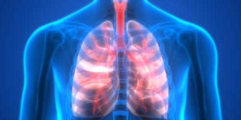 Płuca i choroby płuc