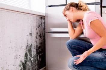 Wyłącz się z pleśni