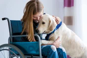 Pies, kot i inni lekarze