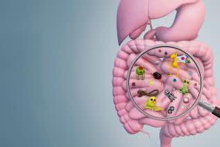 Mikrobiota jelitowa - klucz do zdrowia czy... choroby?