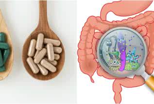 Probiotyki - jaki szczep wybrać?
