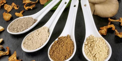 Grzyby lecznicze - reishi, maitake, shiitake 