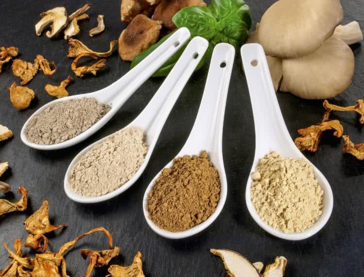 Grzyby lecznicze reishi, maitake, shiitake Oczymlekarze.pl