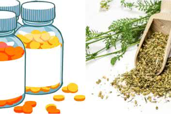 Krwawnik zamiast cynaryny