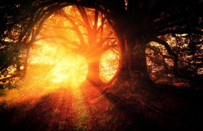 Niedobór witaminy D i schizofrenia