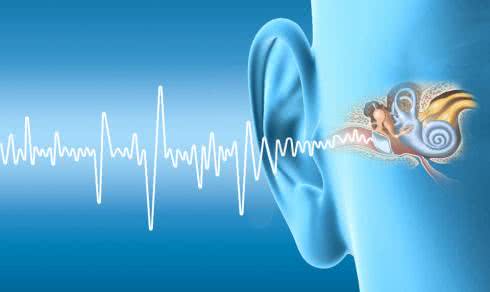 Słuch 