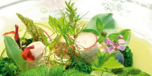 Fitoterapia dla kobiet