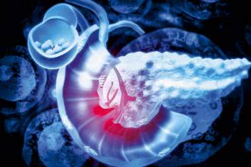 Trzustka pod ochroną