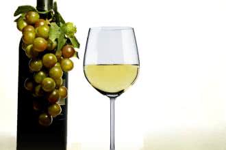 Julia Cember-Ogorzałek