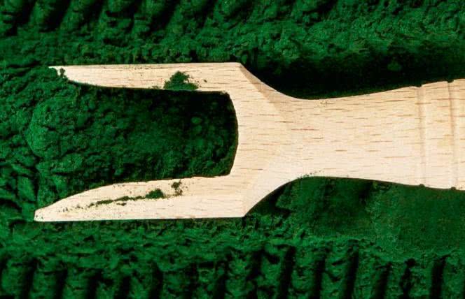 Poznaj moc spiruliny