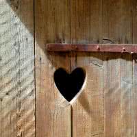 Więcej niż sedes, czyli 10 ciekawostek o toaletach